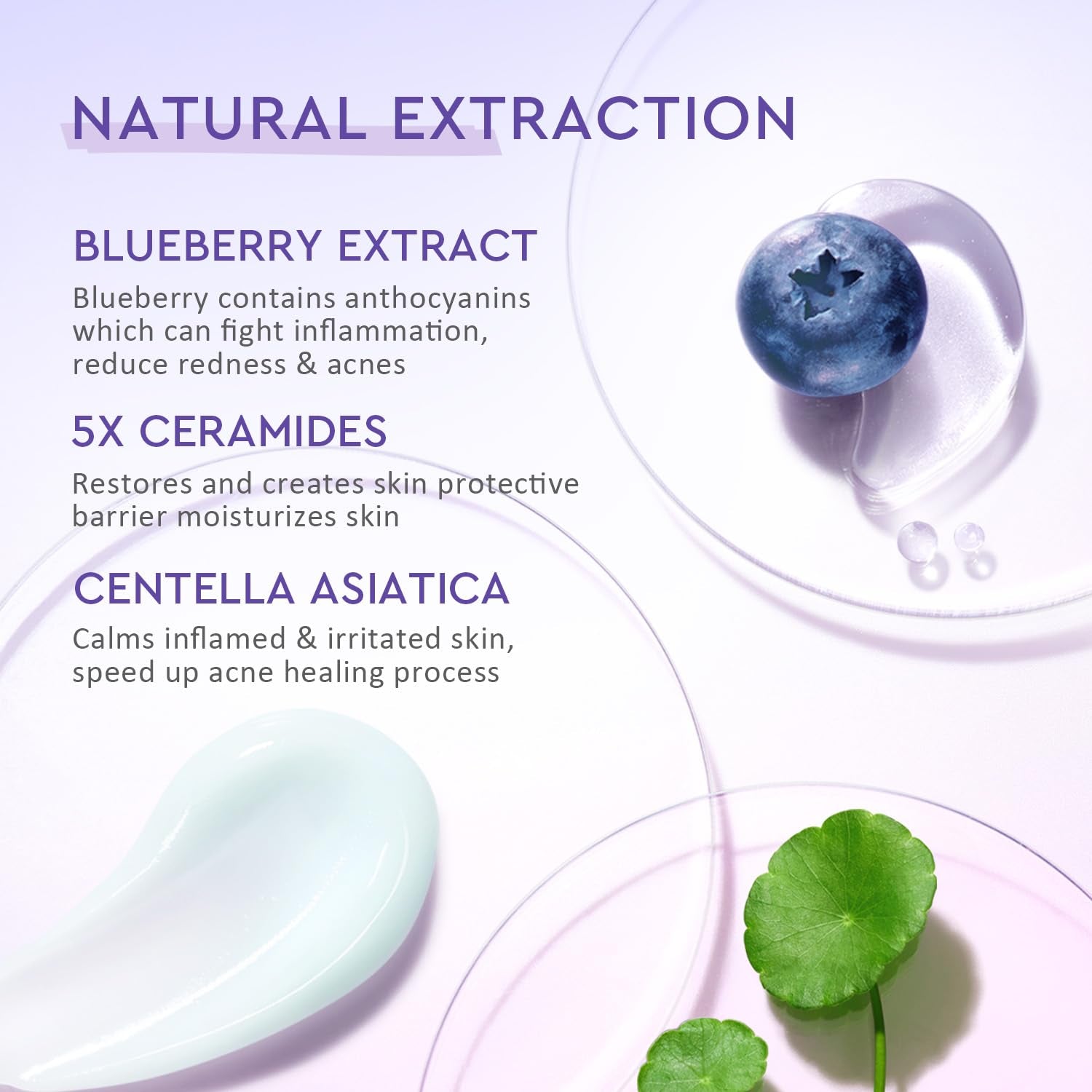 Blueberry Ceramide Face Moisturizer, Barrier Cream for Dry, Sensitive & Redness-Prone Skin, Strengthen Skin Barrier, Calm Irritation, Deep Hydration - 5X Ceramides, Blueberry, 100G
