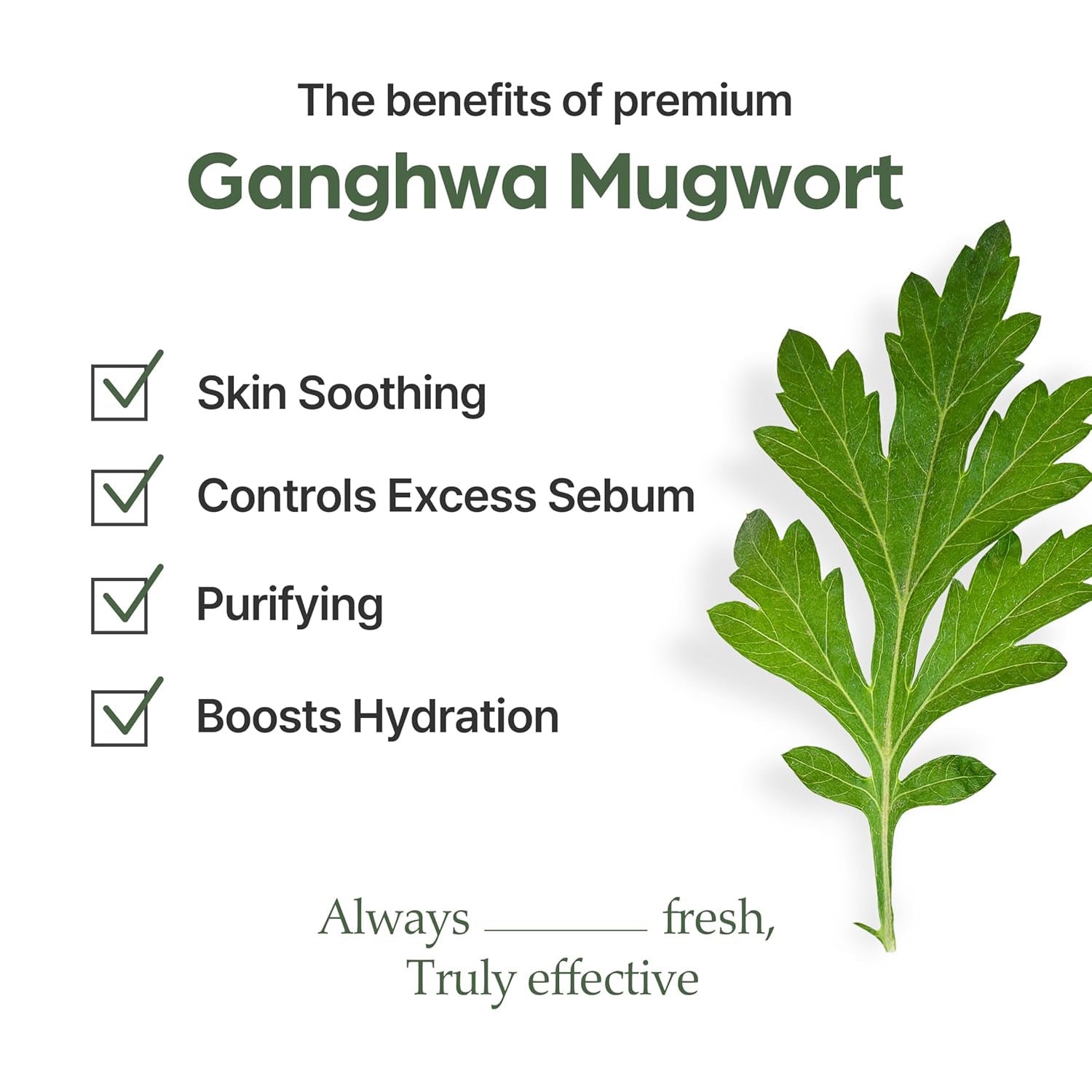 Mugwort Mask, Wash-Off Calming Face Mask with Mugwort Extract, Cooling & Soothing Care for Sensitive Skin, Korean Skincare 2.46 Fl.Oz