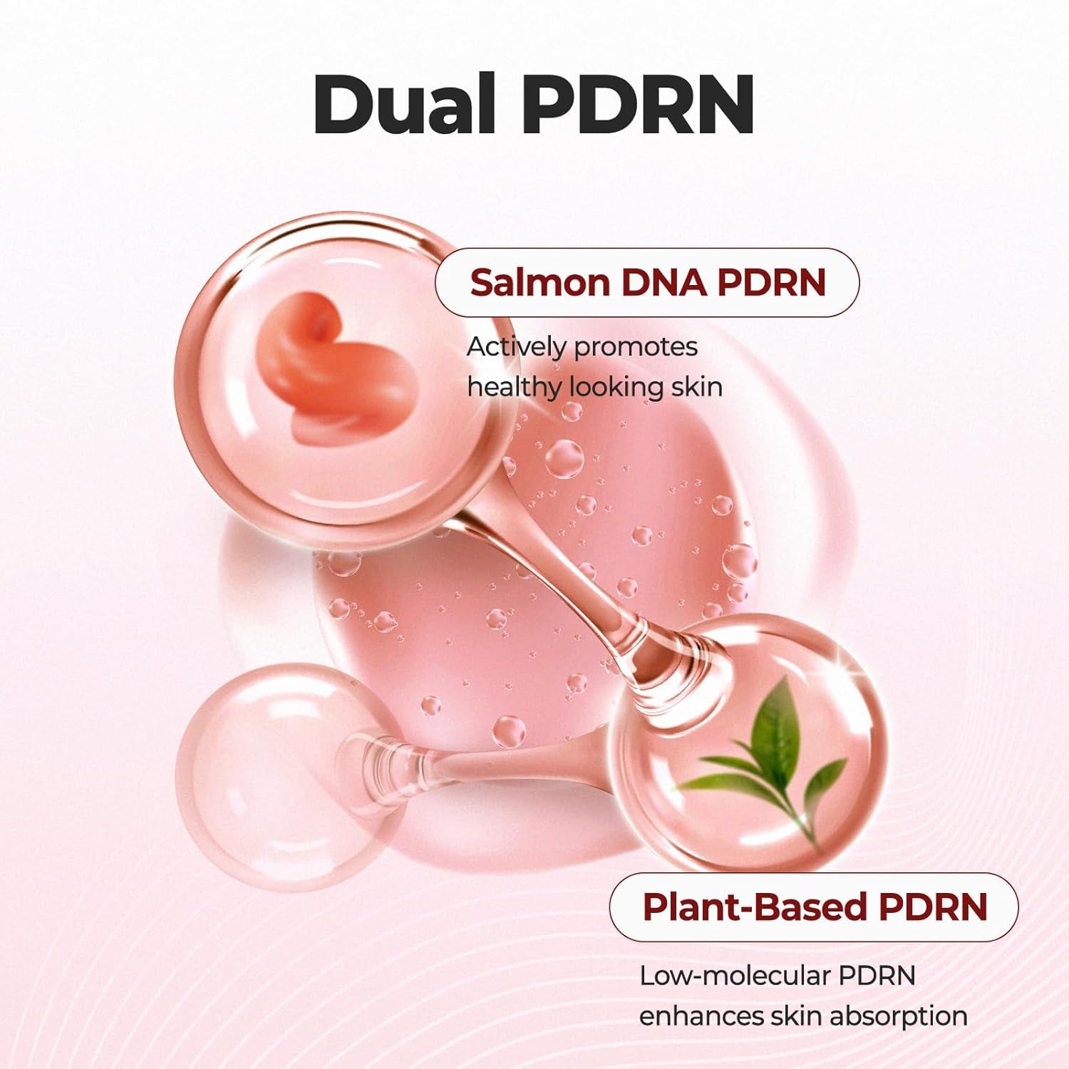 Skin Wrapping Cream, PDRN Ceramide Moisturizer for Dewy Glass Skin, Skin Barrier Hydration, Non Comedogenic Tested, Korean Skincare, 1.69 Fl.Oz